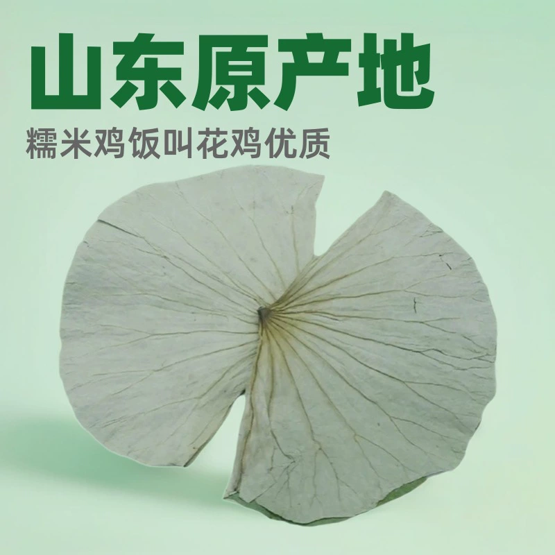 Оптовая продажа сушеных листьев лотоса, новые продукты на рынке, оригинальные из Шаньдуна, используются для приготовления клейкого риса с курицей, курицы, приготовленной в глине, рисовых пирожков в листьях лотоса.