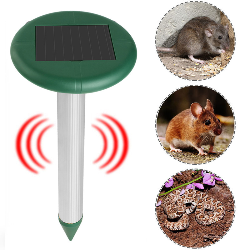 O1CN01RTNK3W1O8mZwK6WTD_!!2211