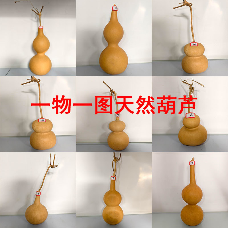 【一物一图】天然手捻葫芦文玩把玩精品小葫芦美国葫芦工艺品葫芦