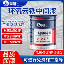 环氧云铁防锈涂料双组份  水下钢铁设施防锈涂料 耐候耐磨涂料