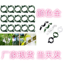 跨境新Secured Plastic Plant Clip扶蔓夹绑蔓夹绿植夹藤蔓固定夹