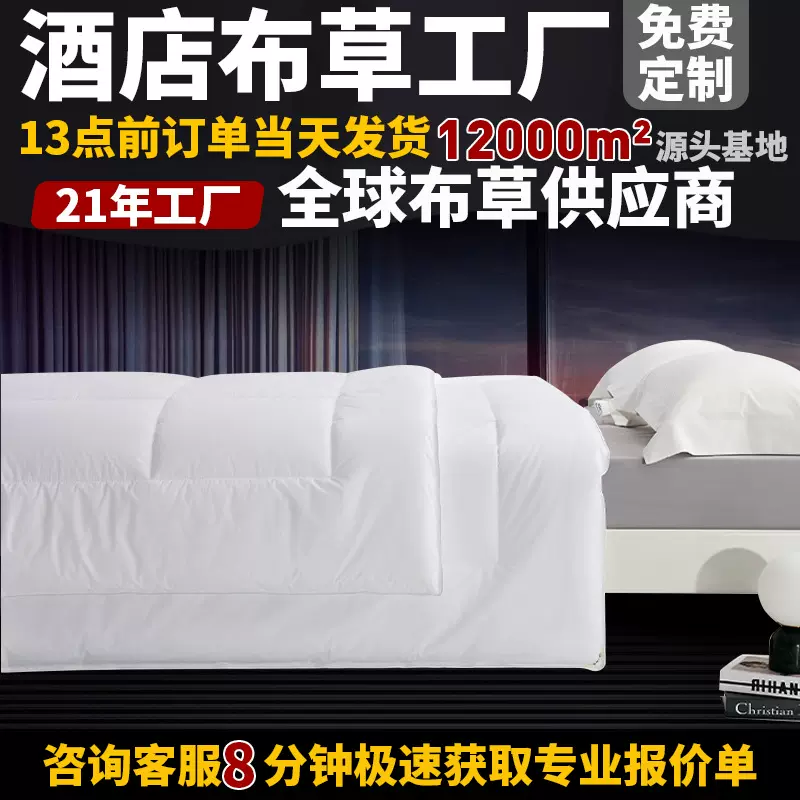五星级纯绵防羽布宾馆酒店民宿冬季加厚被芯空调被白色四季通用
