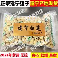 2024年福建建宁莲子去皮去心无芯带心有心农家手工白莲子干货500g