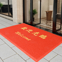 入戶門地墊酒店門口門墊商用防滑吸水墊pvc絲圈紅色地毯同款全鋪