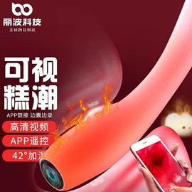 震动棒;情趣跳蛋;仿真阳具