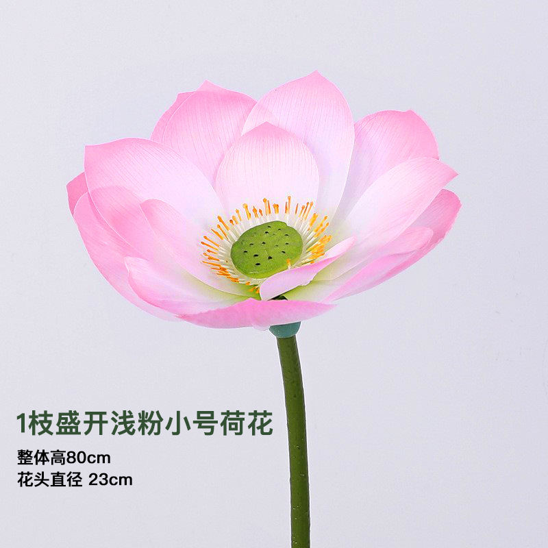 ハスの花のシミュレーション花は仏前の仏堂の蓮の花を供えて飾ります。|undefined