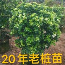 �����ļ��_���������ͺ��Gֲ�̨�͏d����ջ�������]���l