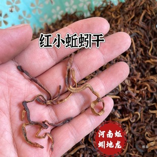 С�t������~�D����~�ڿ����q�q�����S�X���r�T�D������ץ�~�o