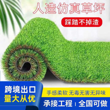 �����ƺ�����ƺ�Gɫ�ٲ݇������������׃��@��ƺ䁉|�˹��ٲ�