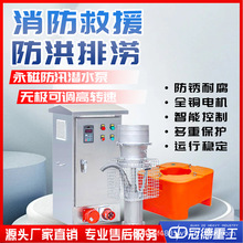 高扬程防汛水泵不锈钢潜污泵便携式永磁泵大流量厂家直售