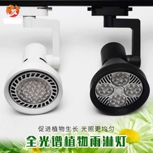 全光谱室内雨林景观植物造景灯微景观补光灯P30轨道射灯