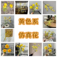 ���滨��c�Sɫϵ���Ļ�Y���b�·���ٻ������[�ŏS�����l�廨