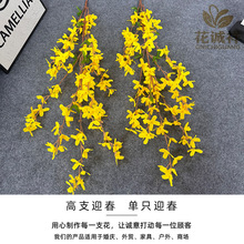 ����ӭ�����滨����c�ٻ�������Y���b�����zӰ�[���������l