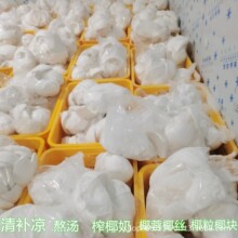 海南老椰子肉 新鲜速冻批发 榨汁椰浆椰肉煲汤椰果粒