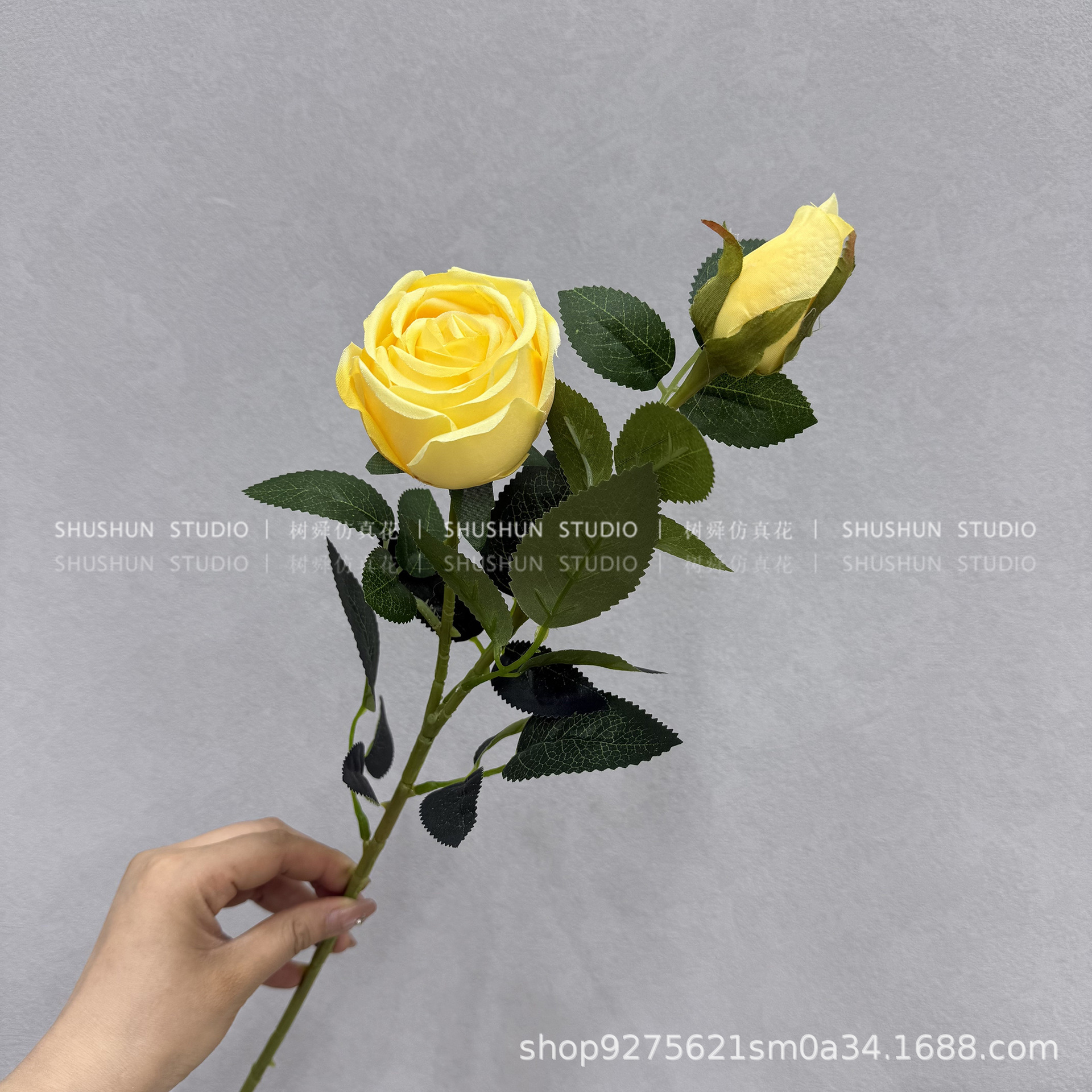 황실 첩의 장미 2 개