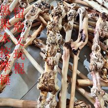 ɽľN   ľñĦNĦڹľN