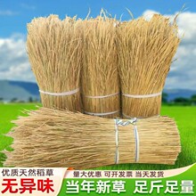 新天然干稻草秸秆稻草屋顶装饰草帘子稻柴草绳谷草做霉豆腐的禾秆