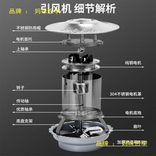 rLC𿻟ͲşCLCLȷP䓱