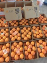 赣州果园江西赣南脐橙橙子整箱批发水果多汁鲜果甜橙手剥超甜爆汁