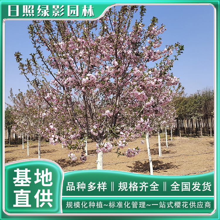 IMG_20220410_100122 副本.jpg