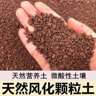 С�~�{�������辰�����L���������ɳ�Nֲ�������ӌ�����������