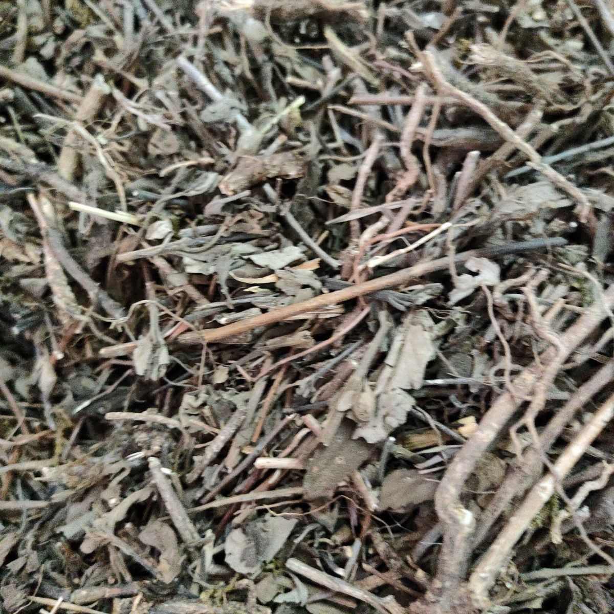 野生草药地罗珠 兰香草 子附莲 对对花 干品无提取500克-阿里巴巴