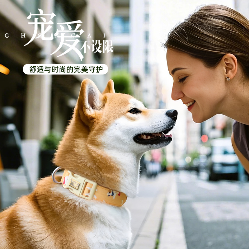 Nuevo collar de tela para mascotas para perros cuerdas de tracción para perros con inscripciones anti-desprendimiento collar de impresión para perros pequeños y medianos