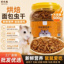 ����x�}��Z�^�p�~����W�^�B�Z500���S���x�I�B��z��Zʳ����