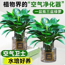 ���~��荾G����ˮ����B�ļ����ܾGֲ�҃�����ֲ���·�����ȩ�҃�