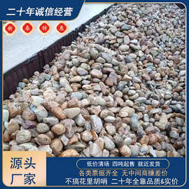 天然鹅卵石厂家直销园林景观驳岸石黄蜡石庭院彩石