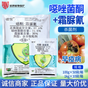 ���r�Ր� 52.5%�f���ͪ˪���跬�����߲��rș�r���r�Y������