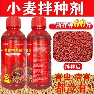 小麦拌种剂包衣剂种衣剂提高出芽率抗病防虫增产生物拌种菌剂水溶