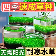 ����ƿ���B�~�׼��Ä����쾰ˮ��ֲ���ļ�ˮ�ݷN����С��