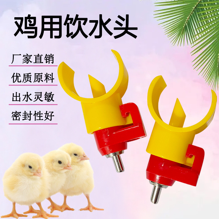 鸡用自动饮水器、鸡用自动饮水器价格、鸡用饮水器量大从优