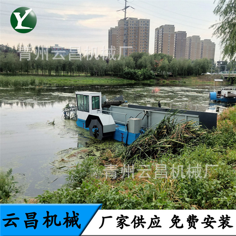 安徽水面芦苇水草收割船 水中水浒苔水草打捞船 水葫芦水草收集船