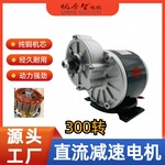 批发自行车改装电动车电机12V24V250W三轮车电机减速马达MY1016