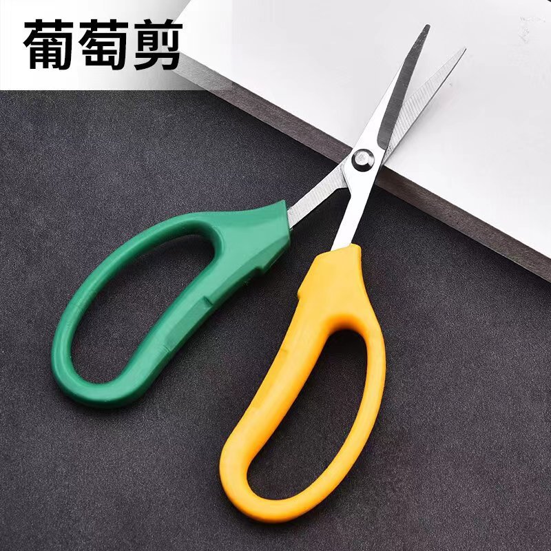 Stainless steel fruit bending pruning shears, fruit thinning shears, garden pruning grape picking fruit shears wholesale