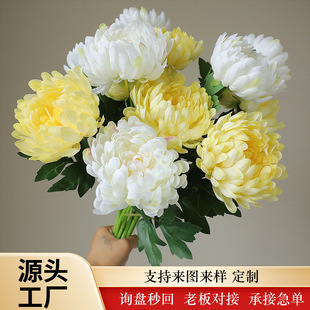 ����ջ������Ĺ�����ω���@Ĺ�؉�ǰ�[�����Ͻ�������ٻ�