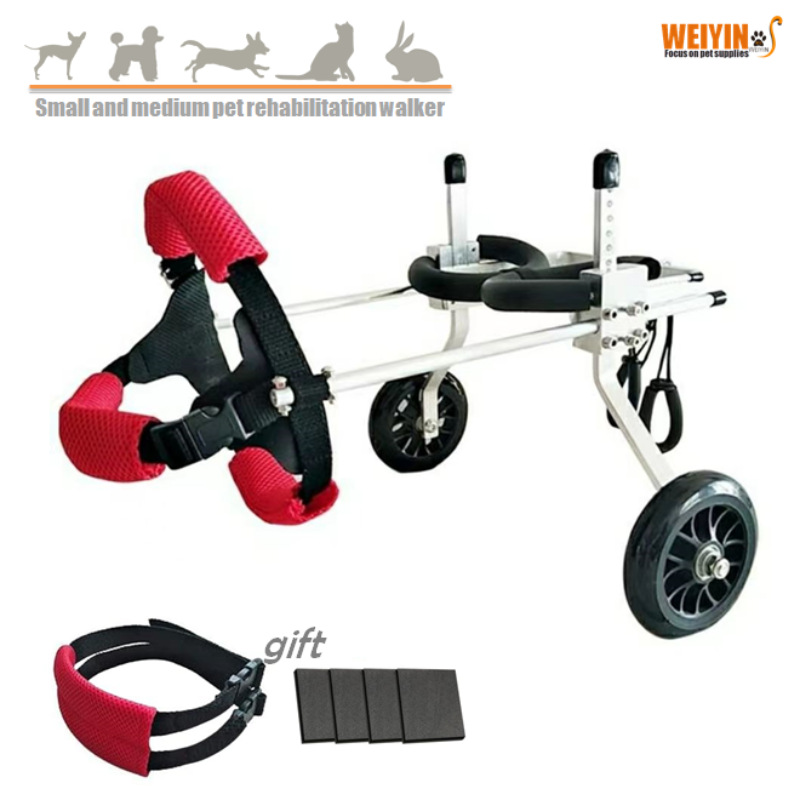 微信图片_20230820125351_副本