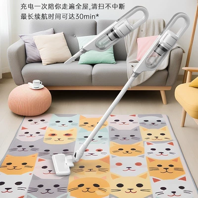 vacuum cleaner for car use, Tozsoranlar