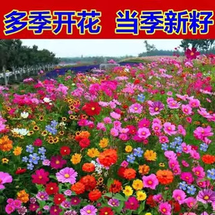 Ұ���M�ϻ��N�ļ��_������ͥԺ��ɣ�����ѷN̫ꖻ��׻�N����