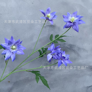 �ٻ�5�^�����˷��滨 ��c�Ƶ걳���������b껨�羳���⻨����