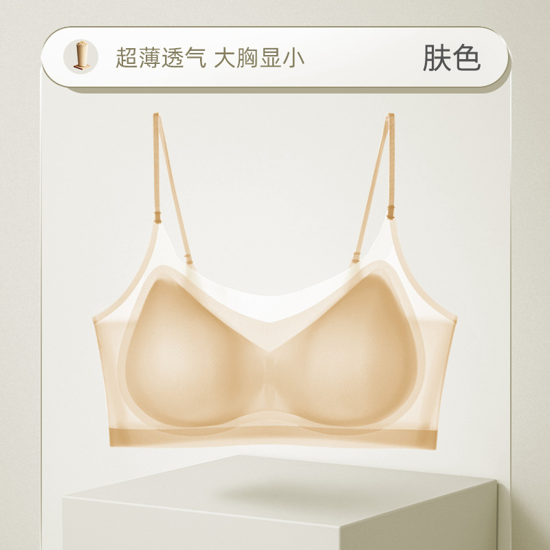 모던 파우더