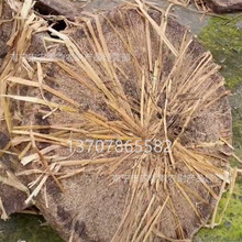 ���ϲ��� ���� ����� ����ϴ�^ �������ԭ�� ����ϴ�^ ���ߚ���