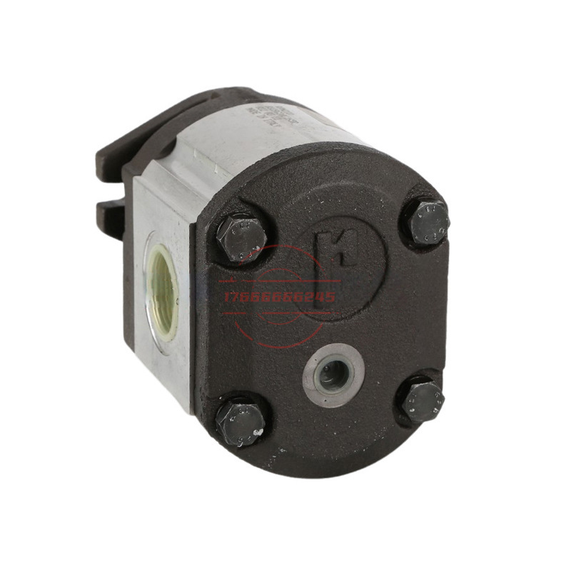 意大利RONZIO罗茨齿轮泵03ZBG30L265R 02ZCG14L435D 01ZA016C406D