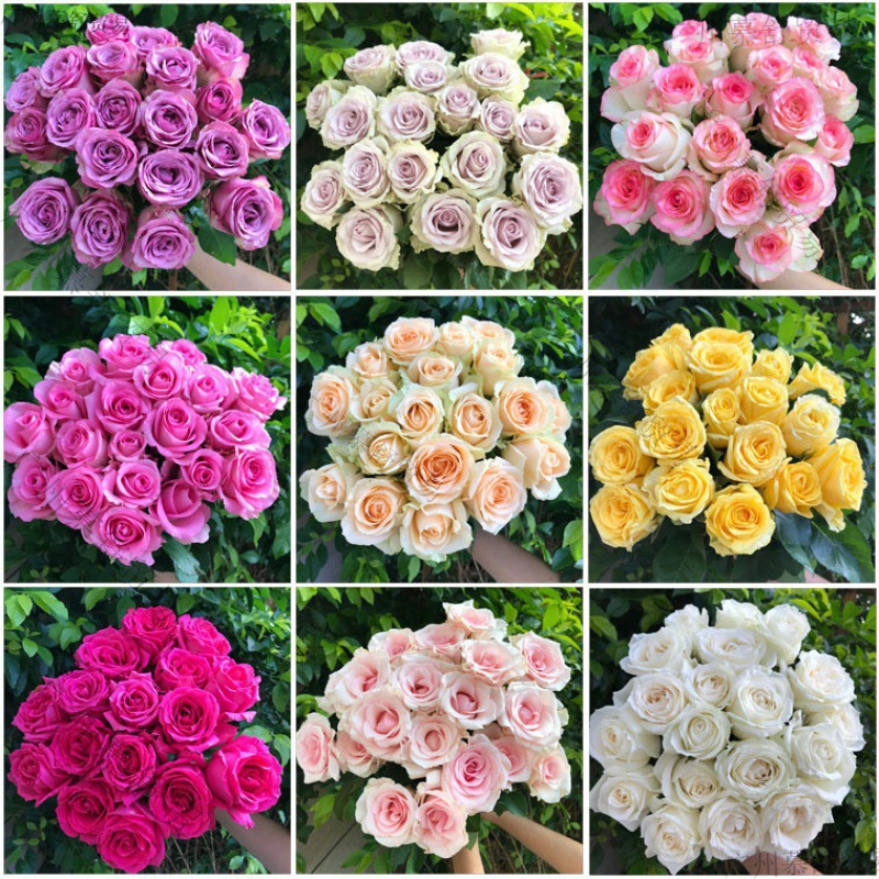 鲜花新鲜基地花束云南玫瑰礼直发香水百合直批邮真花向日包邮批发