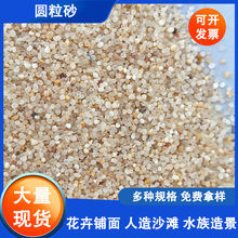 Aɰͯʘɳɳˮ쾰@bÈAɰ