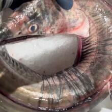 ������r���ك��������~���~����S��机����r��Ұ���������