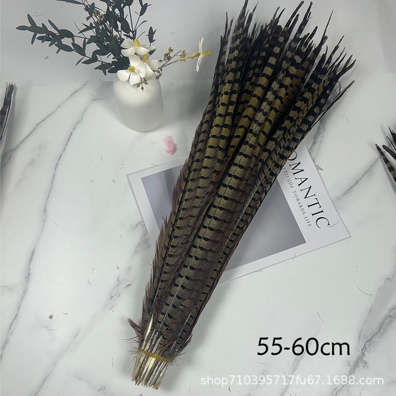 Fábrica al por mayor pelo de faisán 10-90cm cola de faisán pluma de bricolaje danza plumas de faisán cola de gallina palo de gato divertido image 19