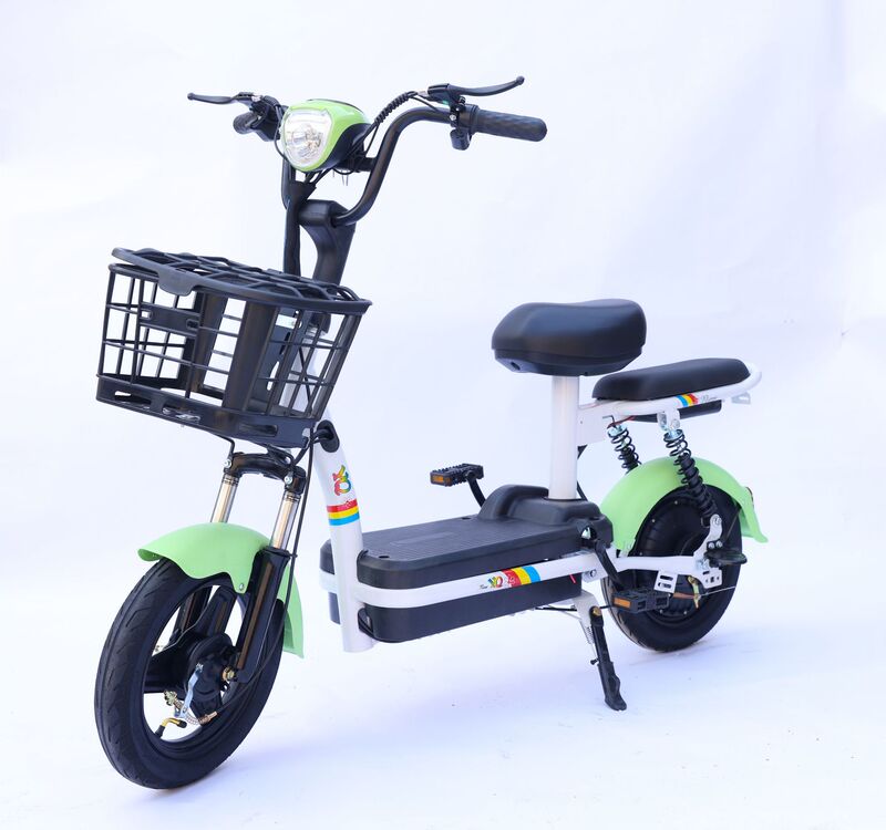 小王子電気自動車の対外貿易クロスボーダー卸売り電気自動車の源工場は電動自転車の二輪車を代行します。|undefined